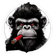 Gorilla ziggar